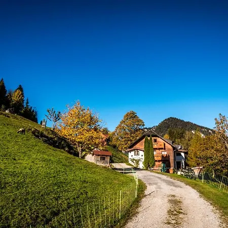 Stallhausl Schladming