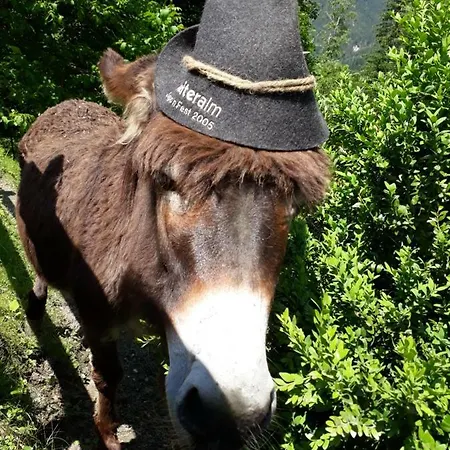 Stallhaeusl * Schladming