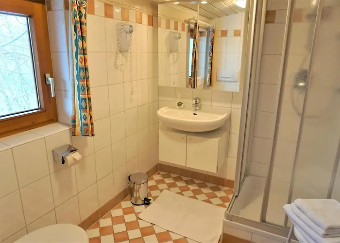 公寓 Stallhaeusl 斯拉德明